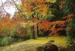 紅葉、桜山 南原寺